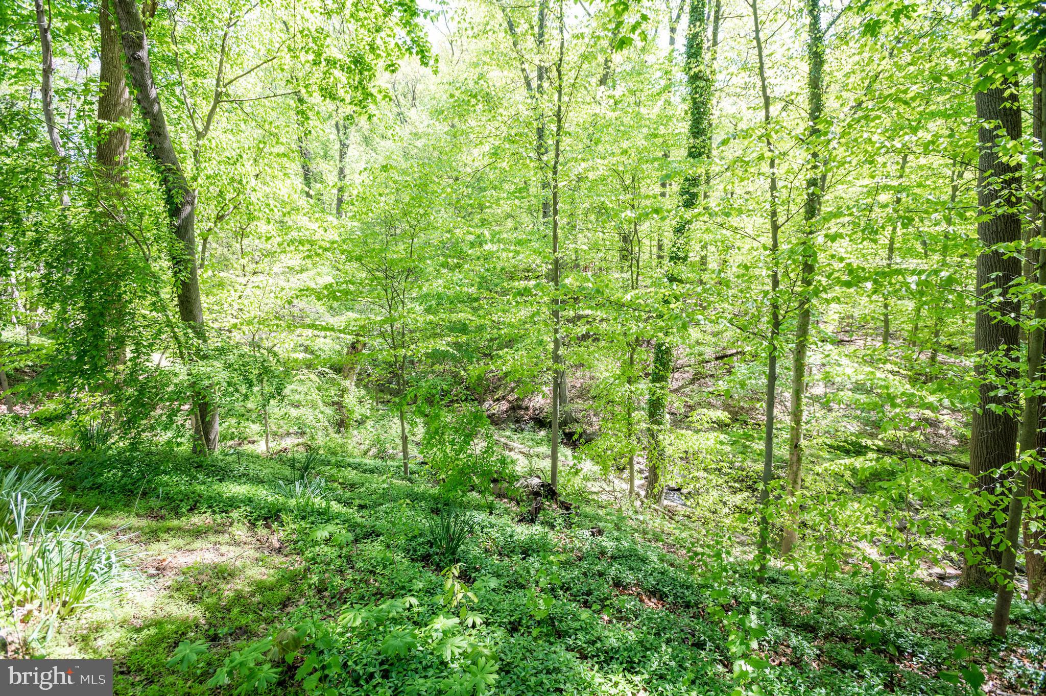 RUXTON - Residential