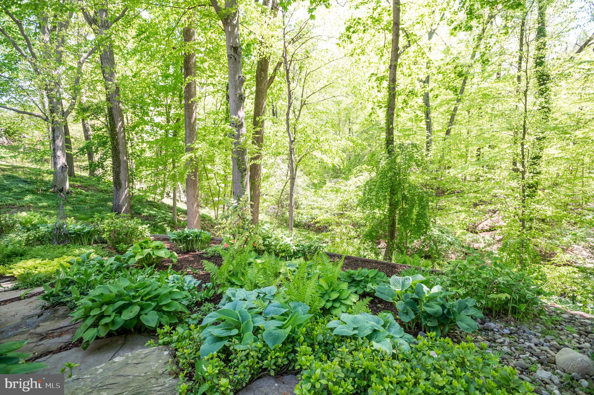 RUXTON - Residential