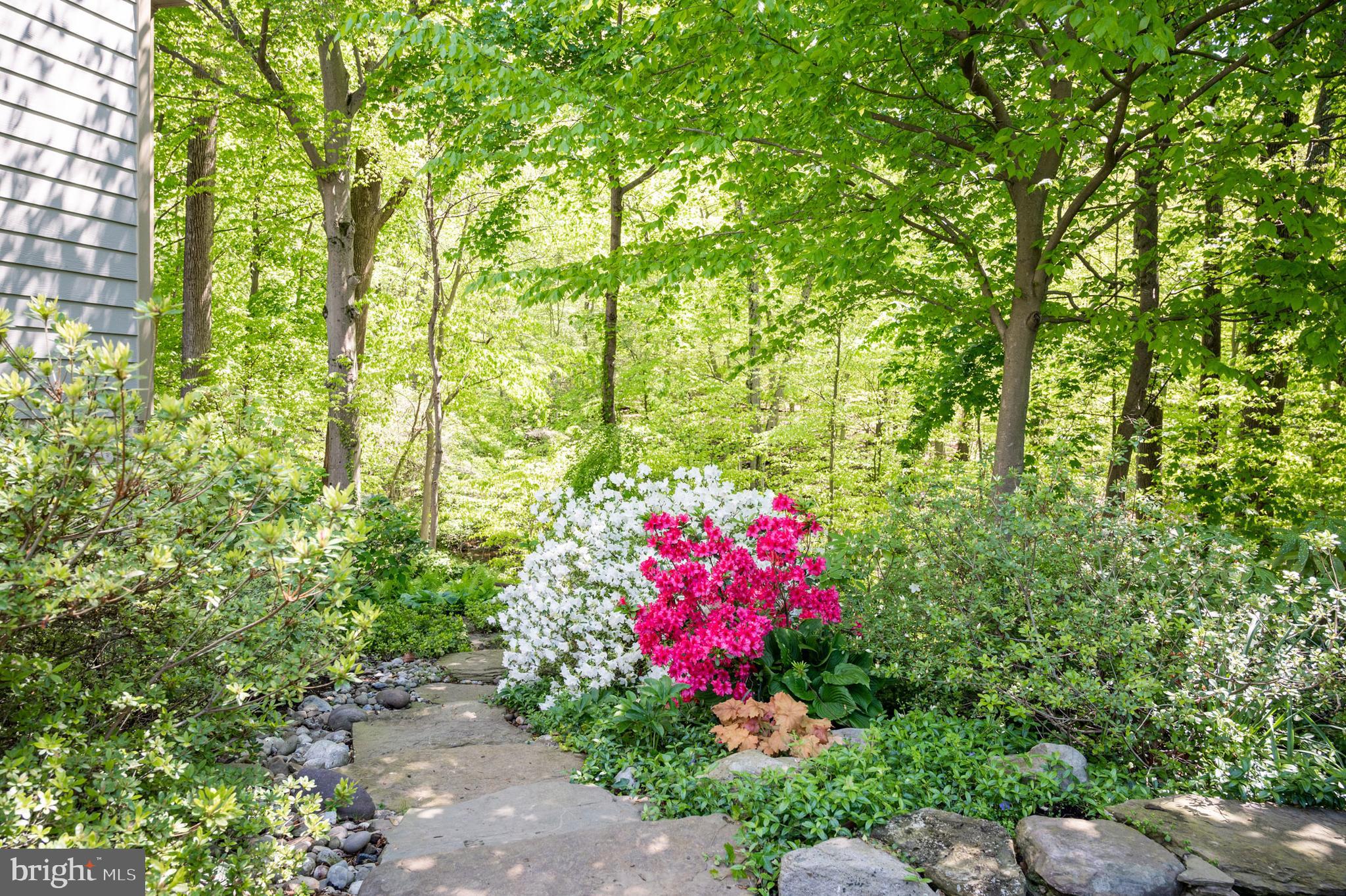 RUXTON - Residential