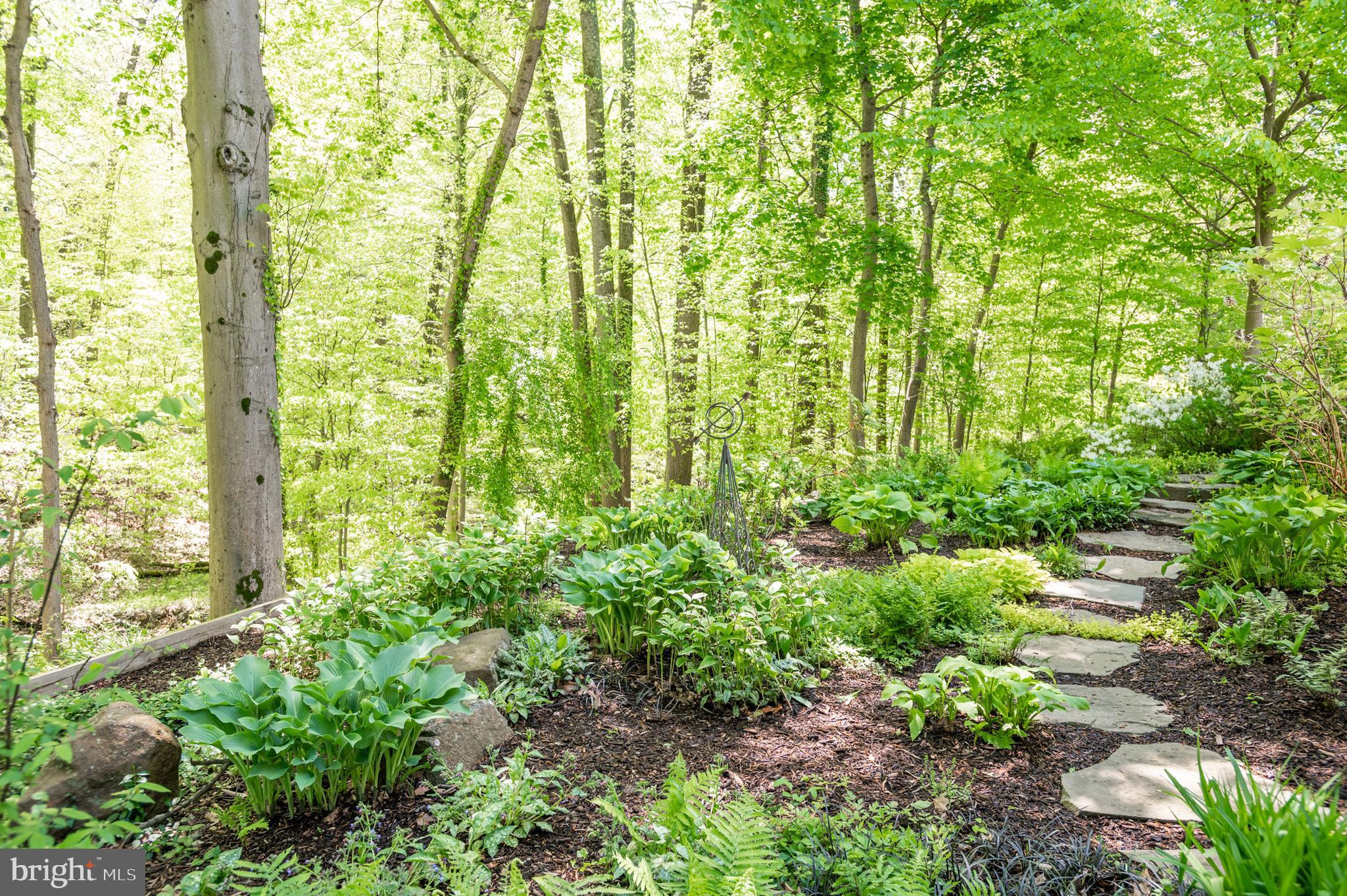 RUXTON - Residential