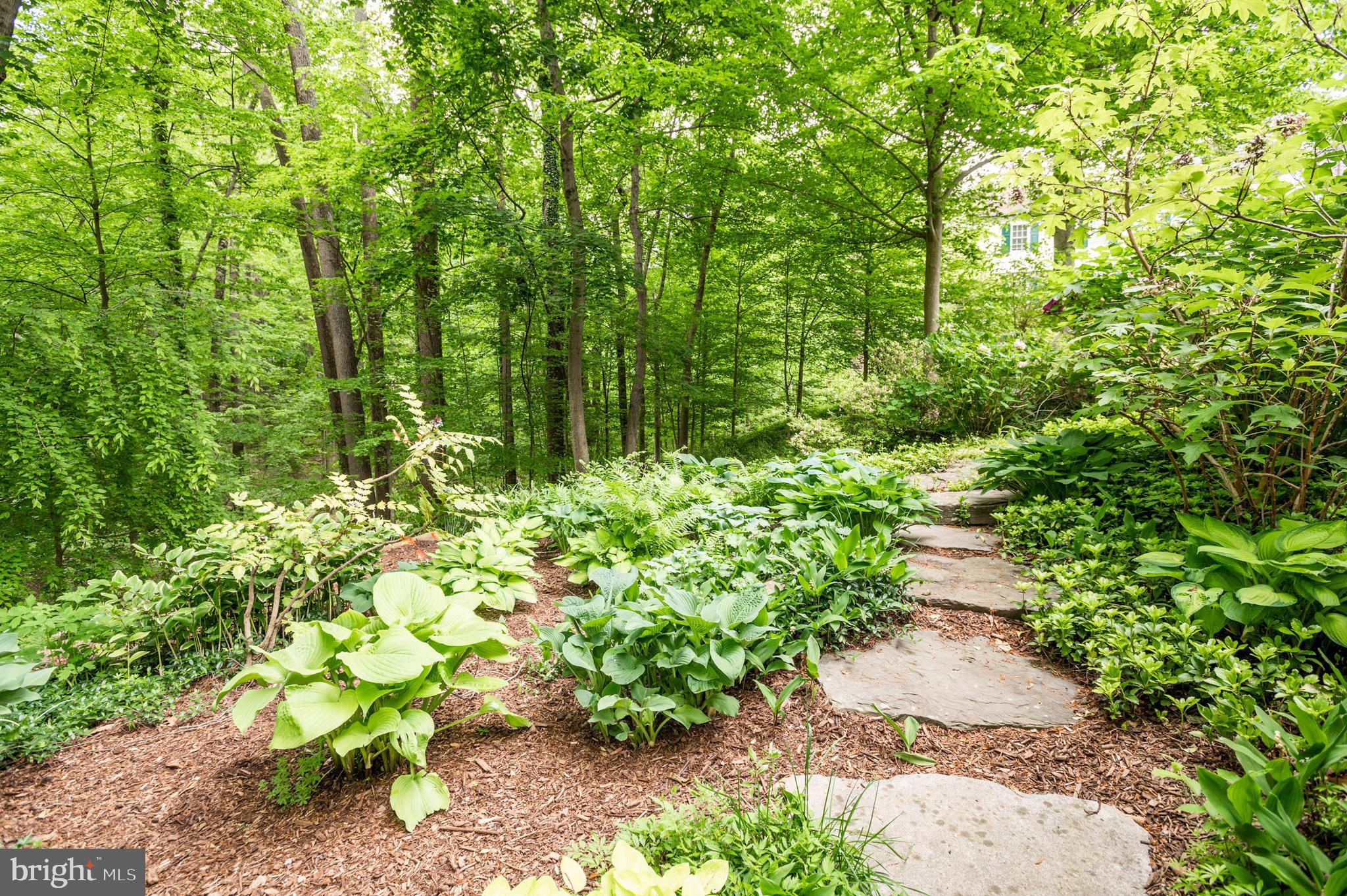 RUXTON - Residential