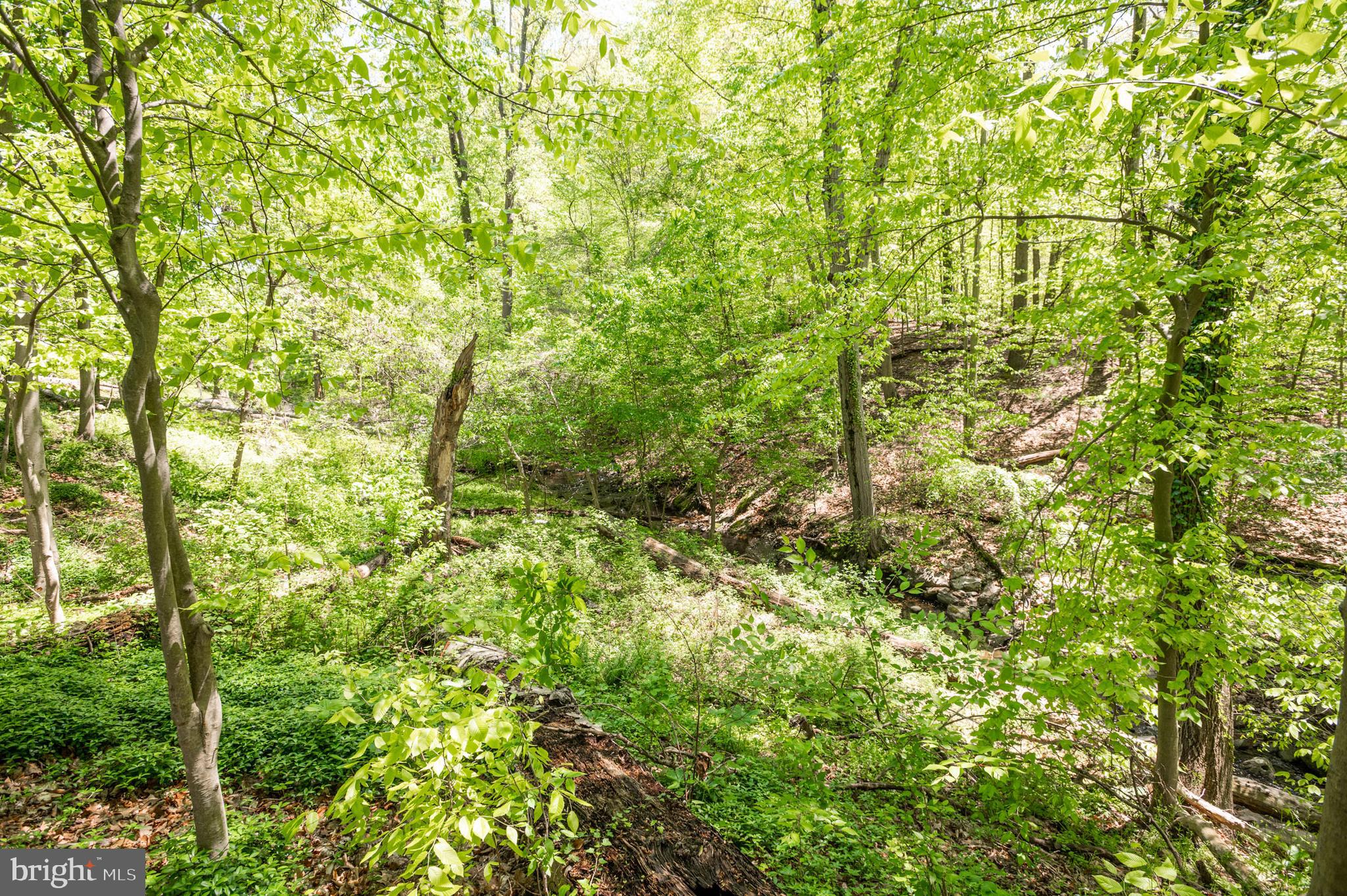 RUXTON - Residential