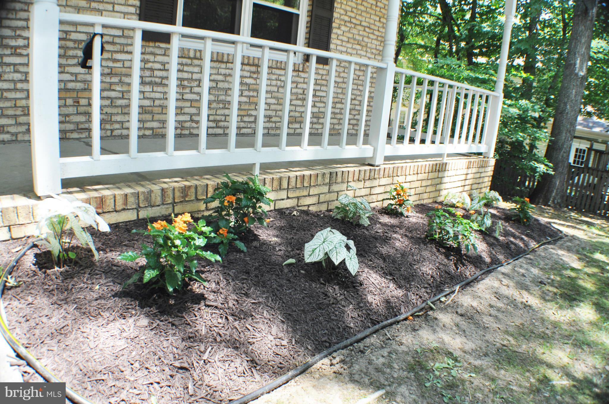 EUTAW FOREST - Residential