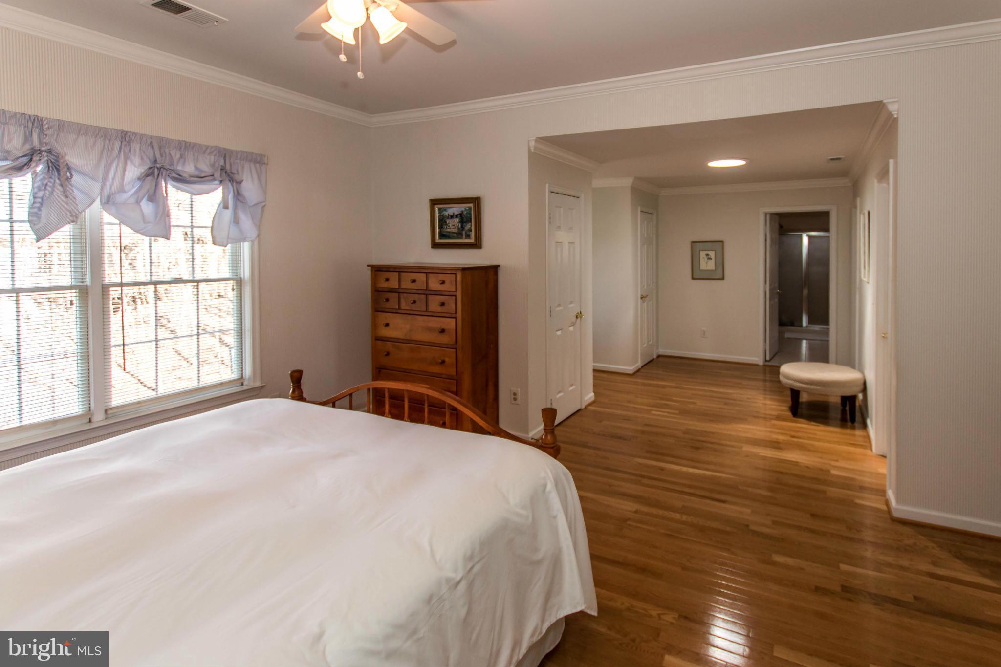 LITTLE ROCKY RUN - Farm