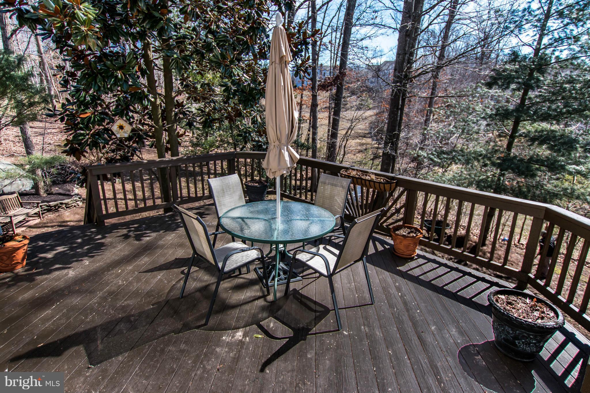 LITTLE ROCKY RUN - Farm