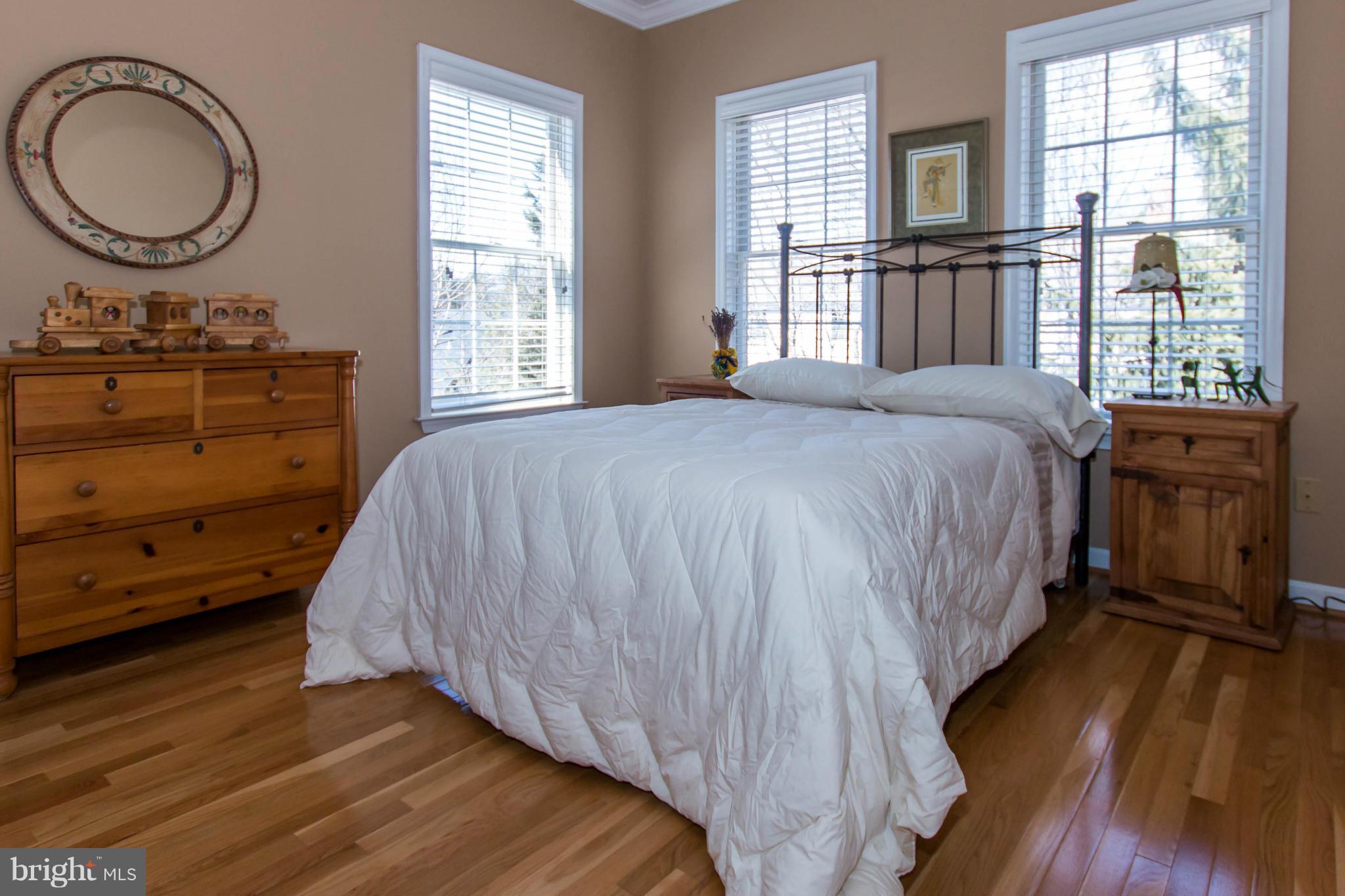 LITTLE ROCKY RUN - Farm