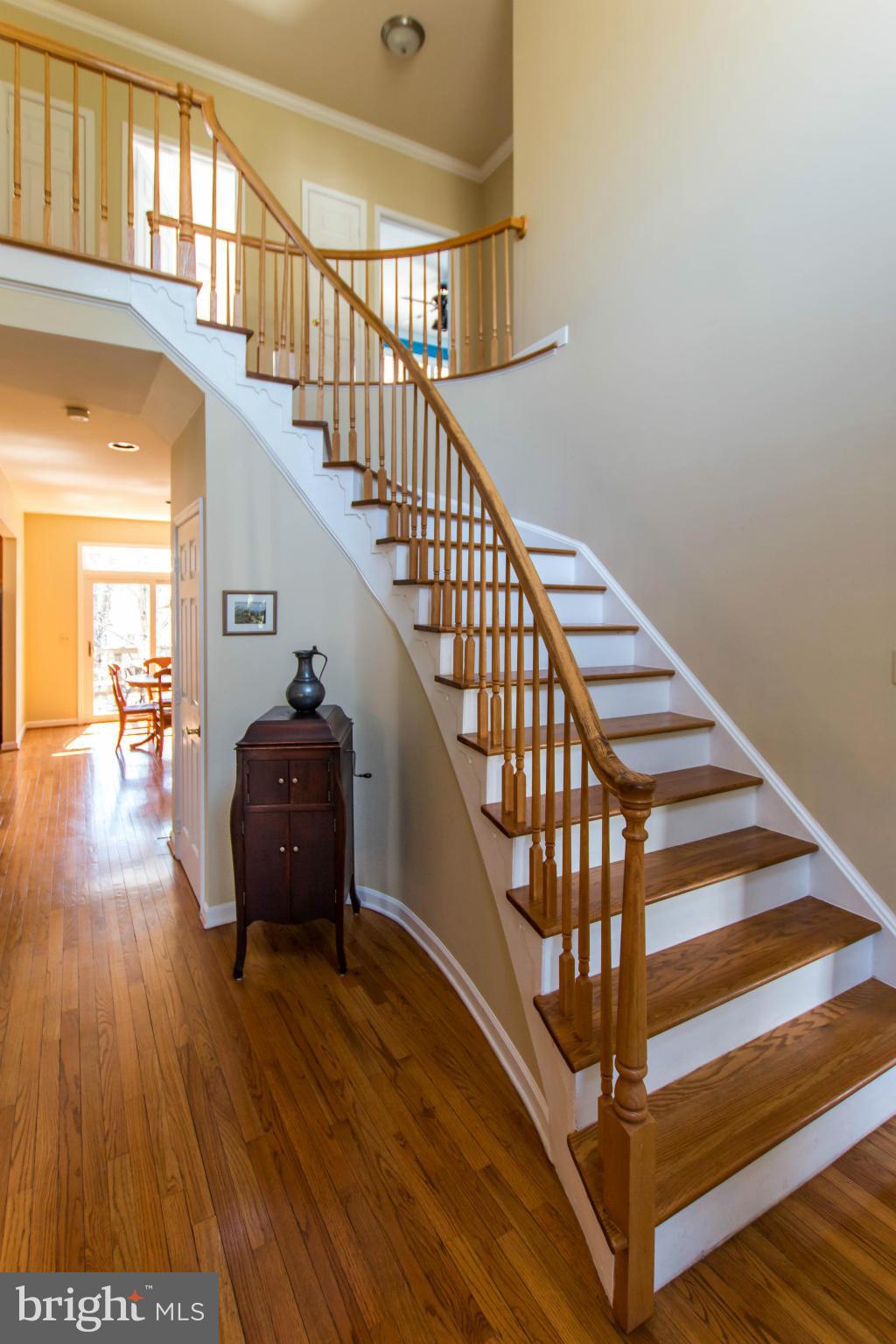 LITTLE ROCKY RUN - Farm