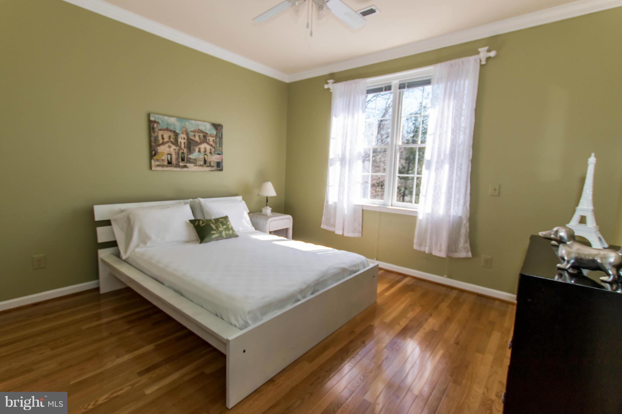 LITTLE ROCKY RUN - Farm