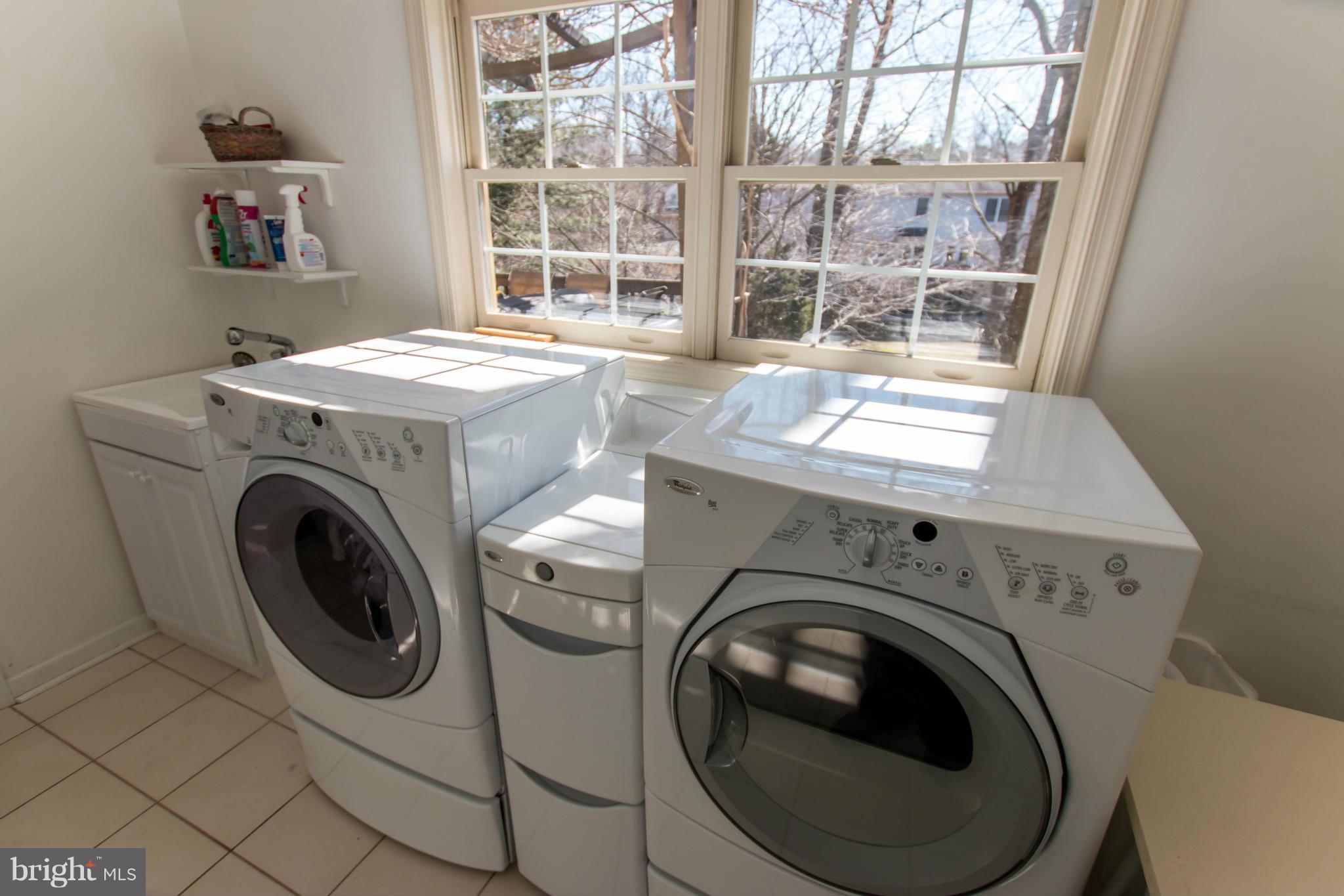 LITTLE ROCKY RUN - Farm