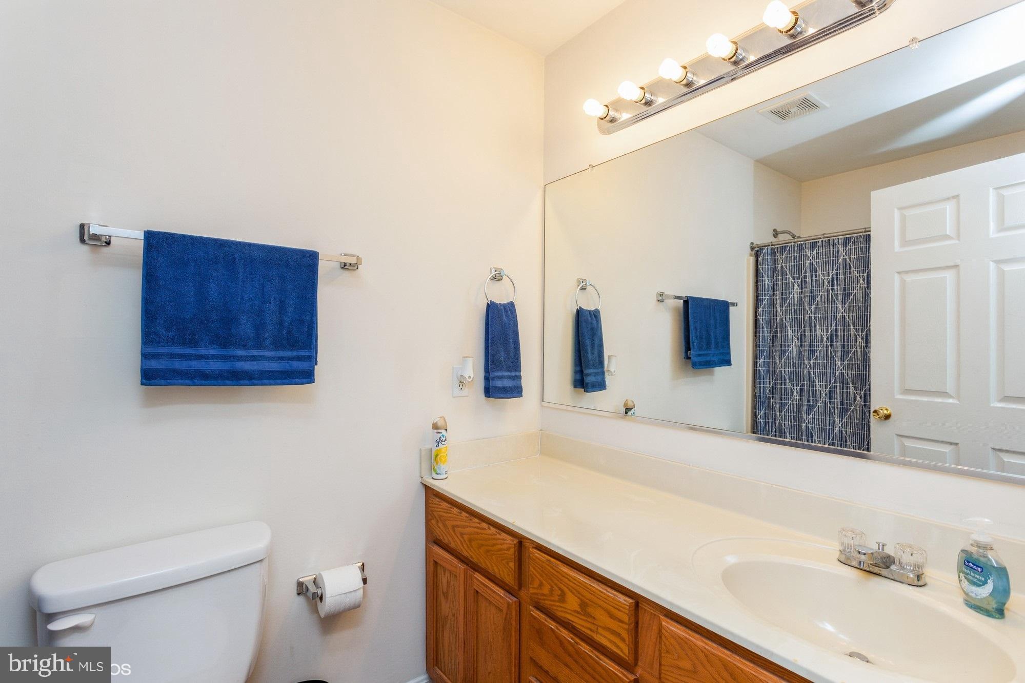 BLUE RIDGE MANOR - Residential