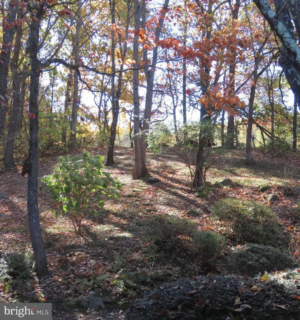 listing image 48