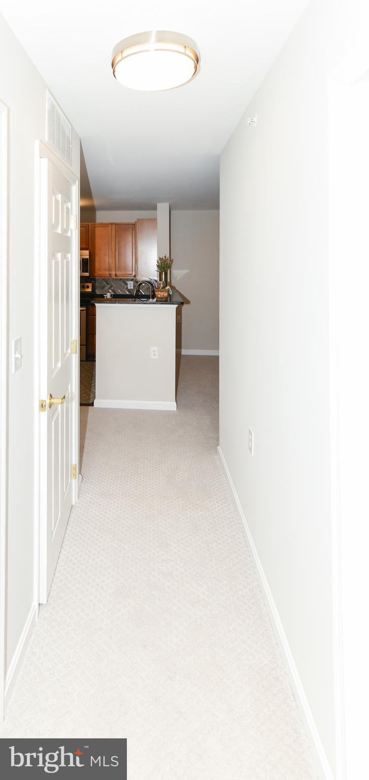 CHESTNUT OAKS CONDOMINIUM - Residential