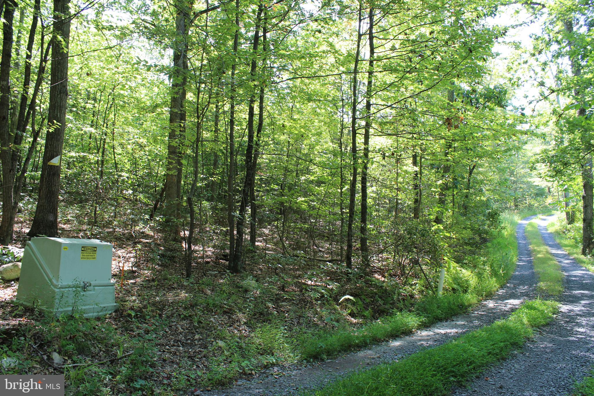 MOUNTAIN WALK - Land