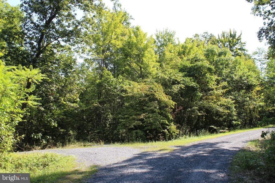 5.478-acre wooded property in Mountain Walk Subdivision, Mt. Jackson.  Several potential building sites with underground utilities and paved/gravel roads.  Enjoy all the valley has to offer - close to wineries/breweries, National Forest, Shenandoah River, and Bryce Resort.  Lot 9 is also available.