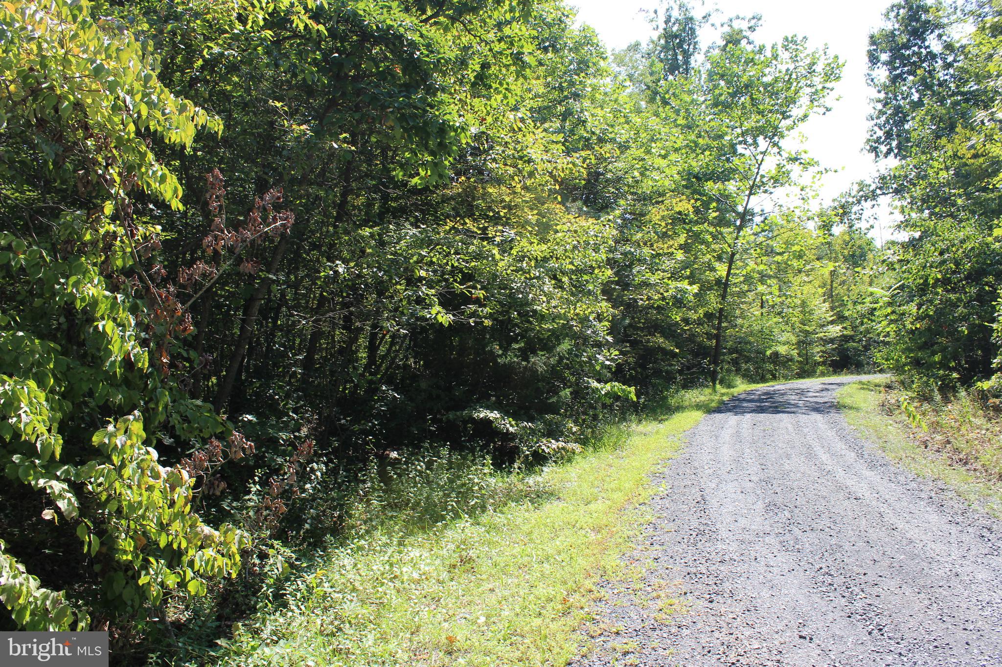 MOUNTAIN WALK - Land