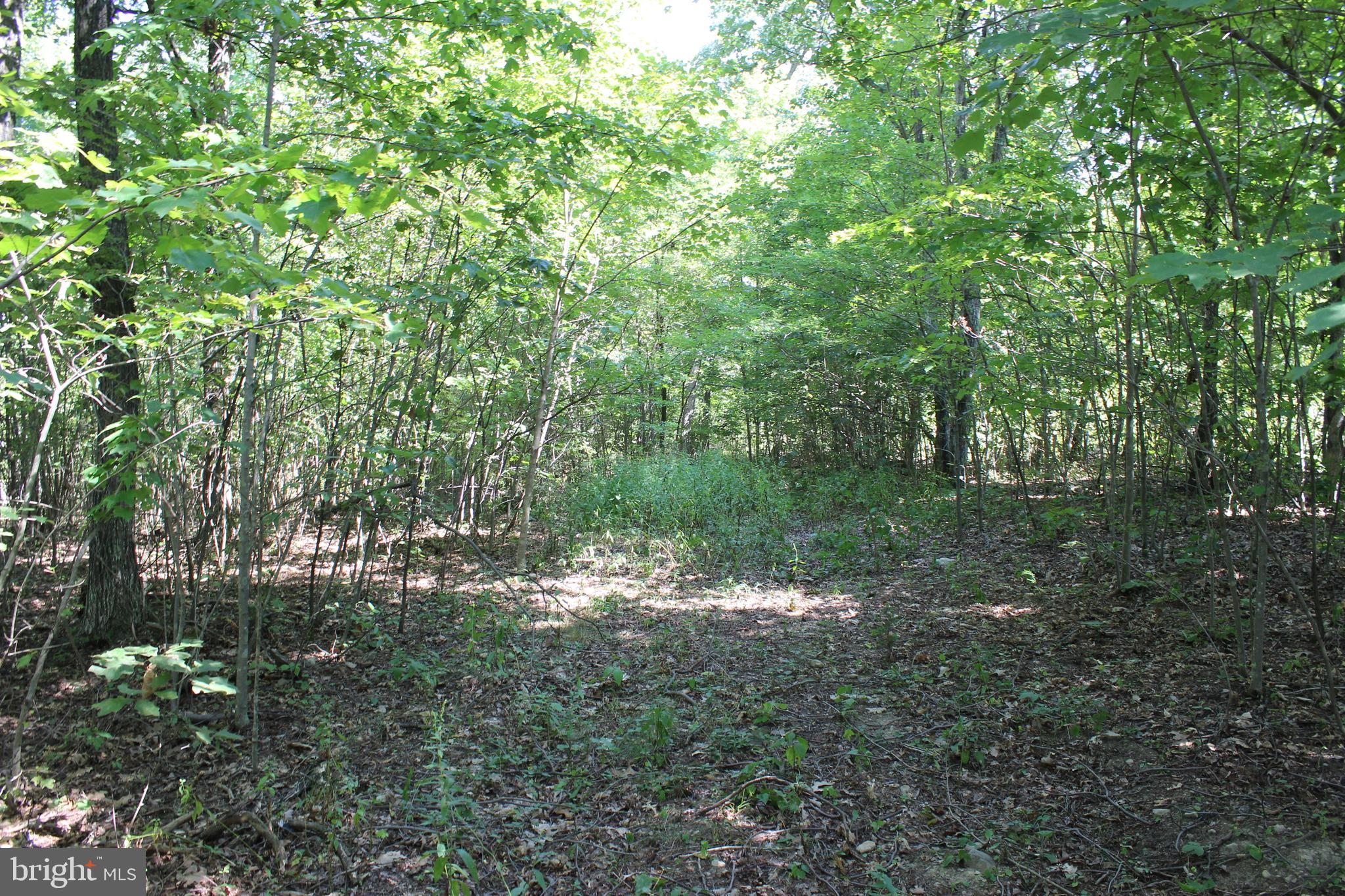 MOUNTAIN WALK - Land