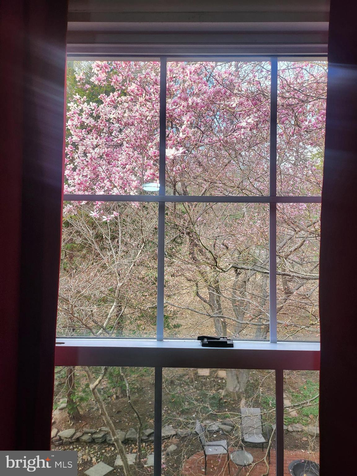 WYNDMOOR - Residential