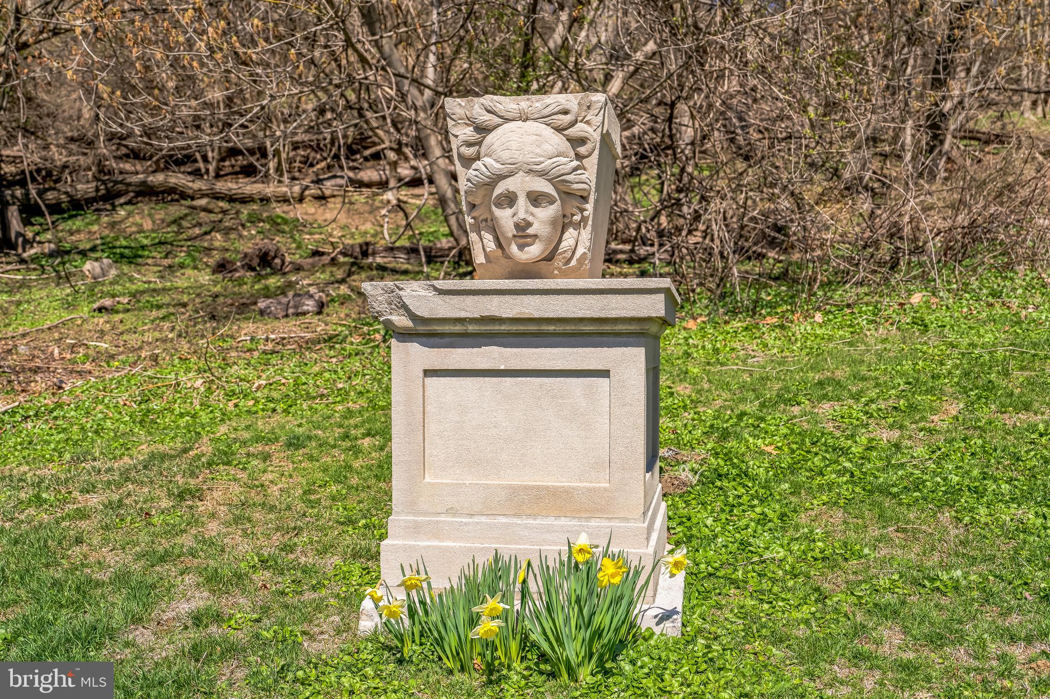 WYNDMOOR - Residential