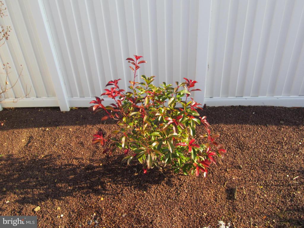 CEDAR HOLLOW - Residential