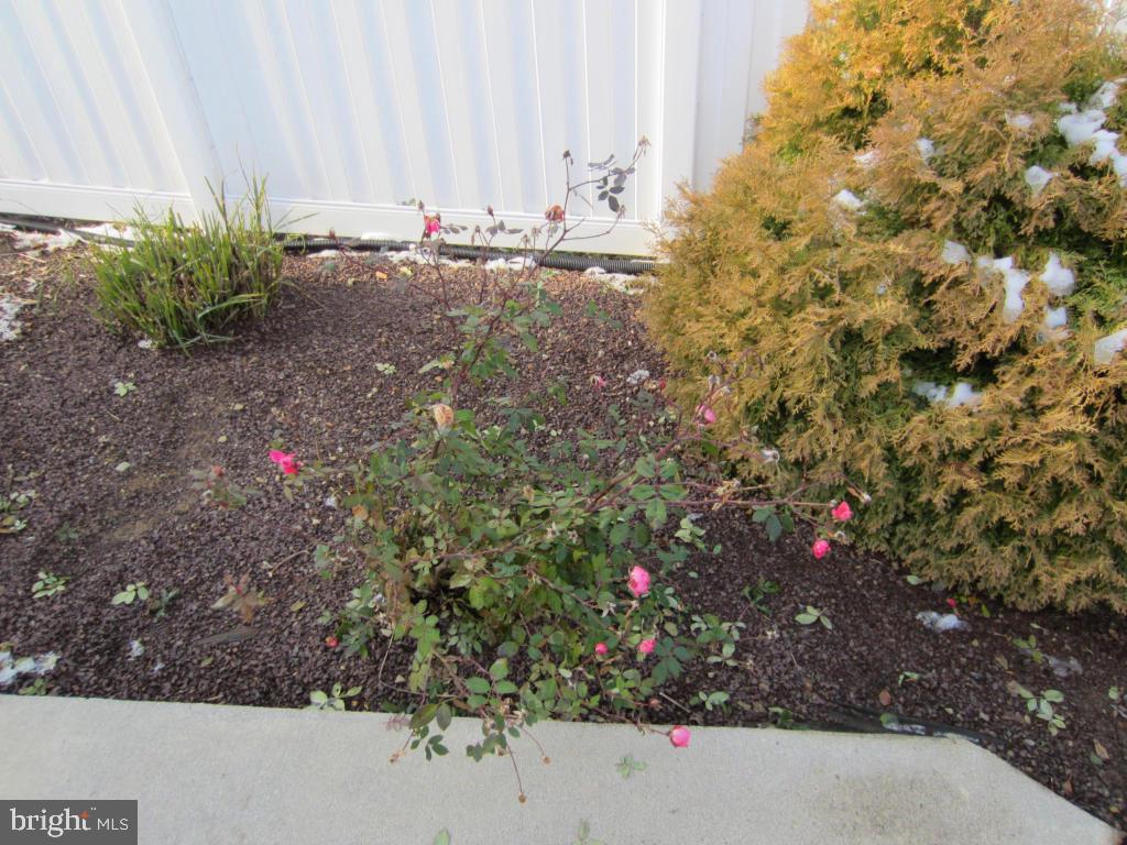 CEDAR HOLLOW - Residential