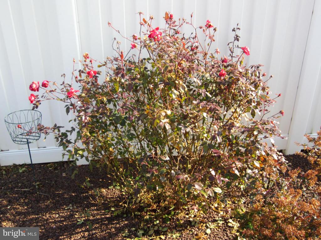 CEDAR HOLLOW - Residential