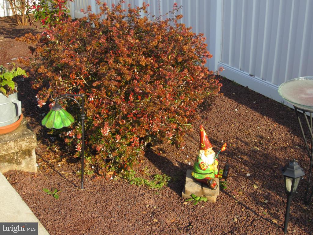 CEDAR HOLLOW - Residential