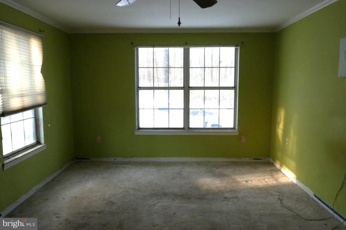 BUCKLEYS - Residential