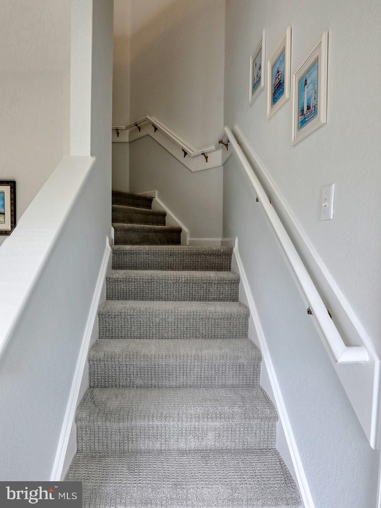 BEAR TRAP - Residential