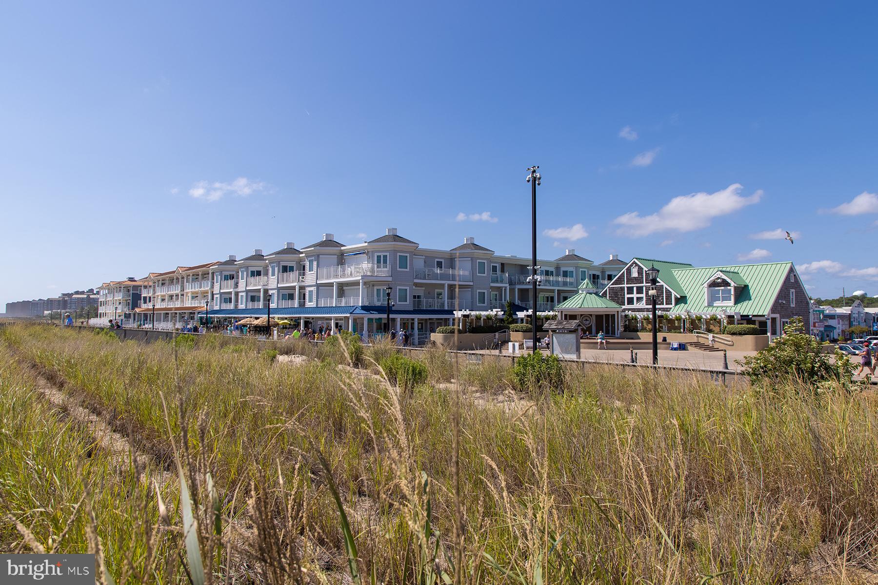 BEAR TRAP - Residential