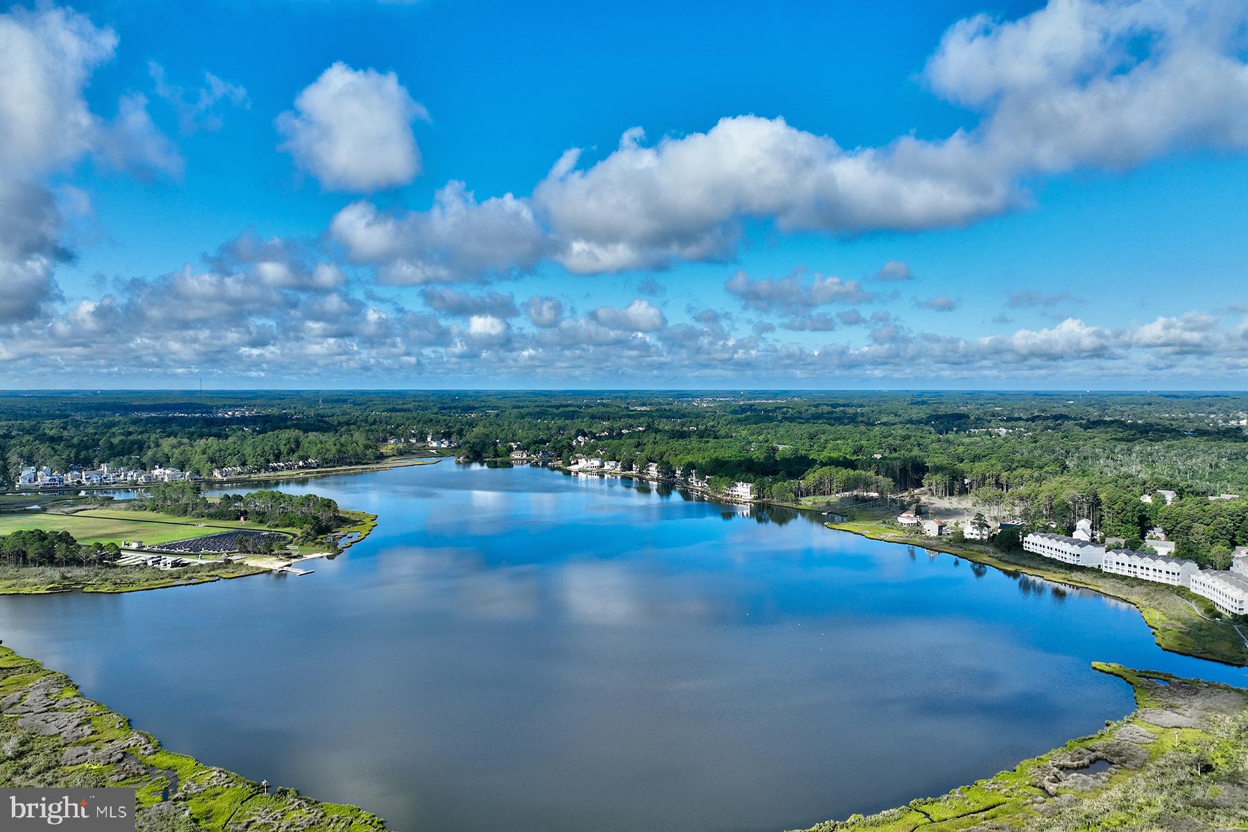 BEAR TRAP - Residential