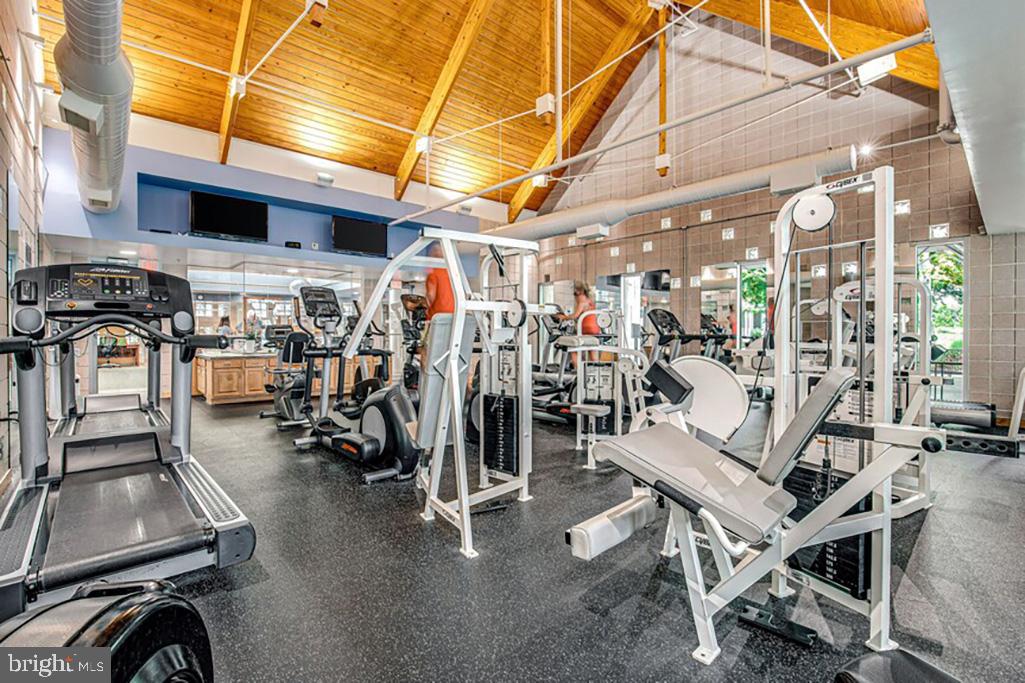 BEAR TRAP - Residential