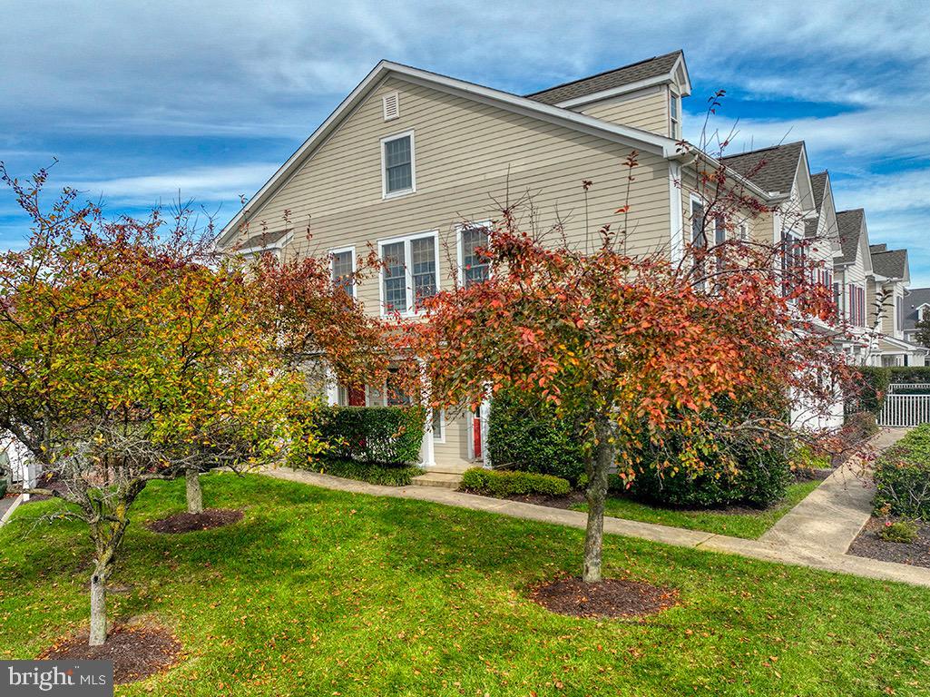 BEAR TRAP - Residential