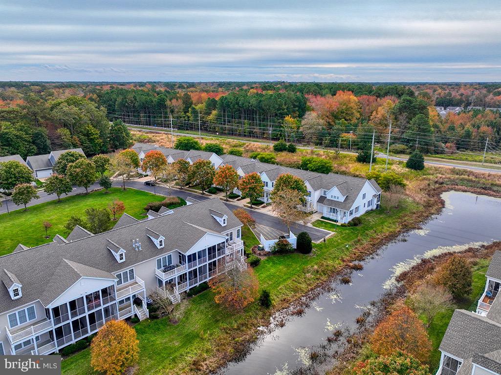 BEAR TRAP - Residential