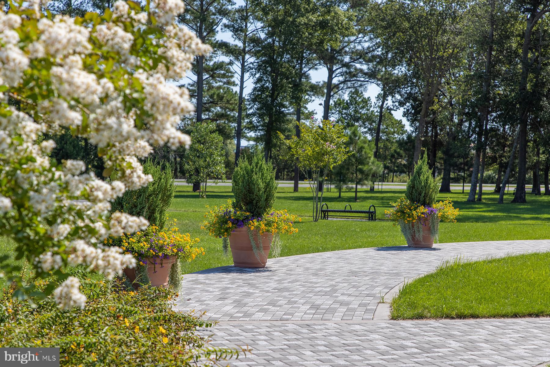 BEAR TRAP - Residential