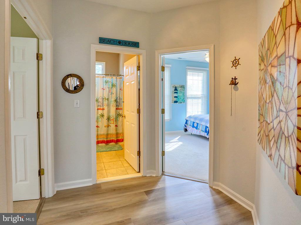 BEAR TRAP - Residential