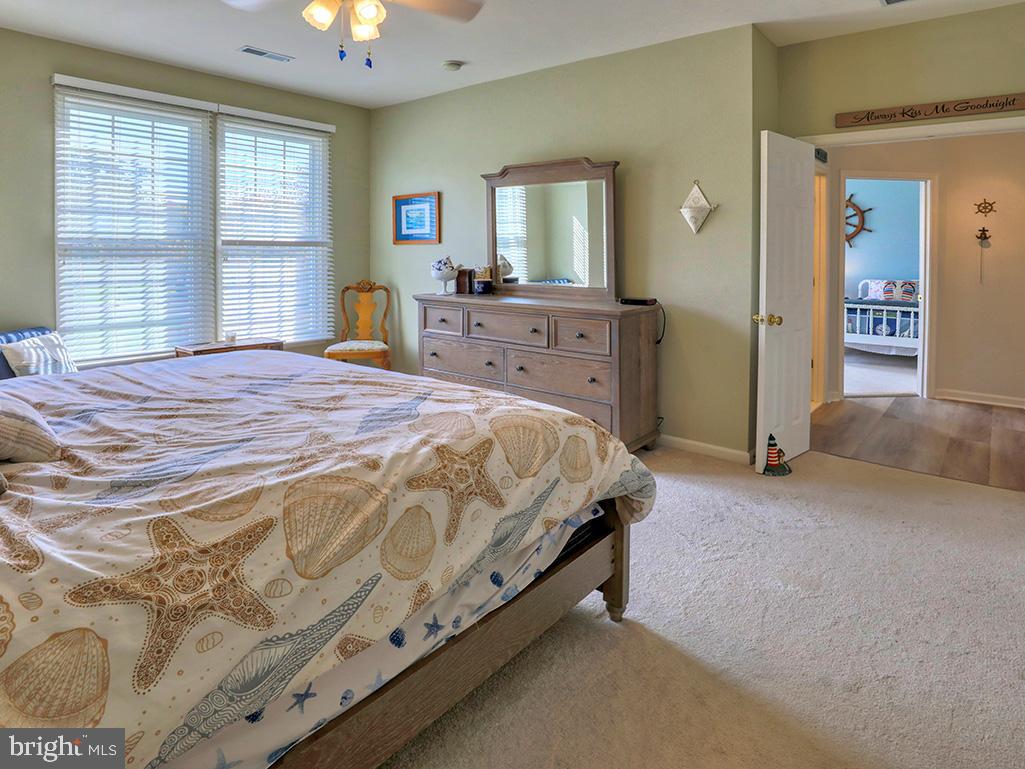 BEAR TRAP - Residential