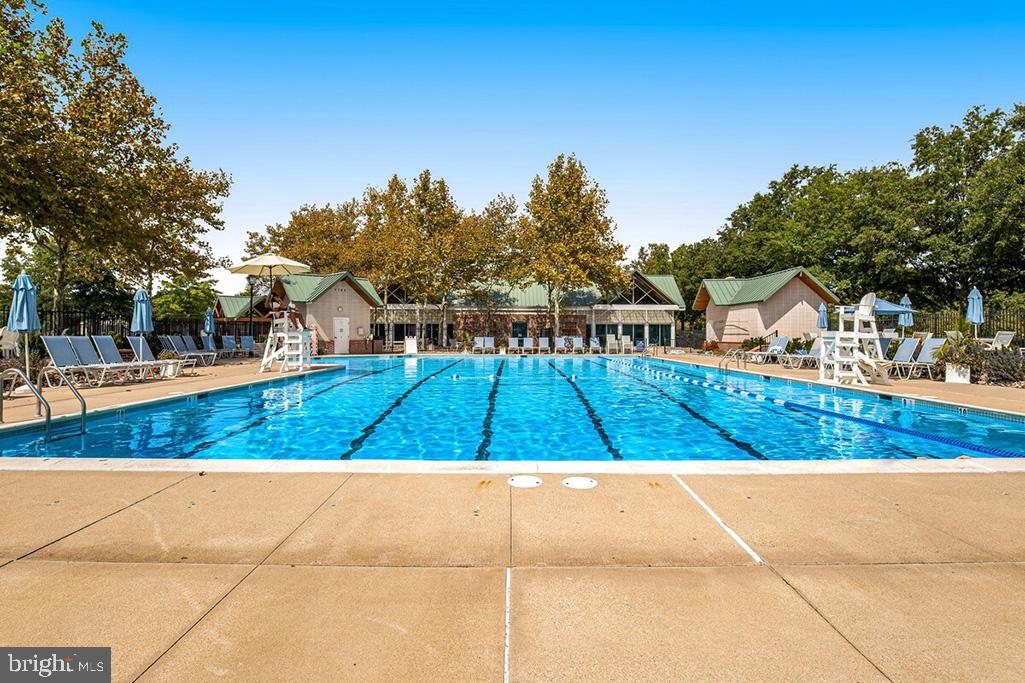 BEAR TRAP - Residential