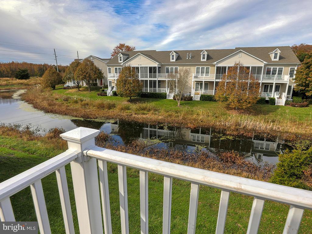 BEAR TRAP - Residential