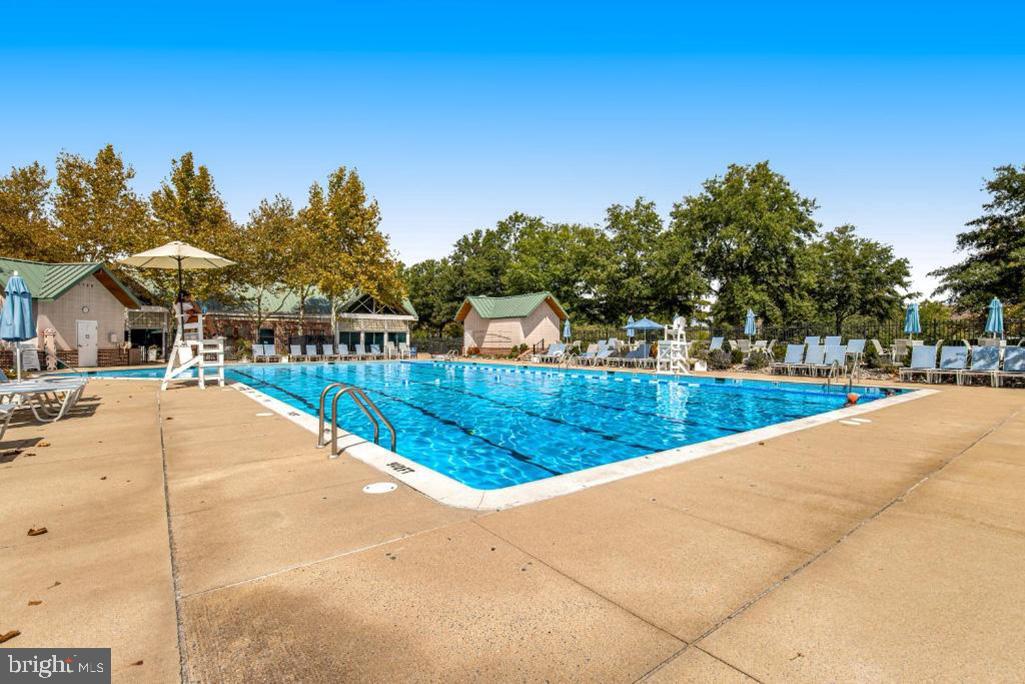 BEAR TRAP - Residential