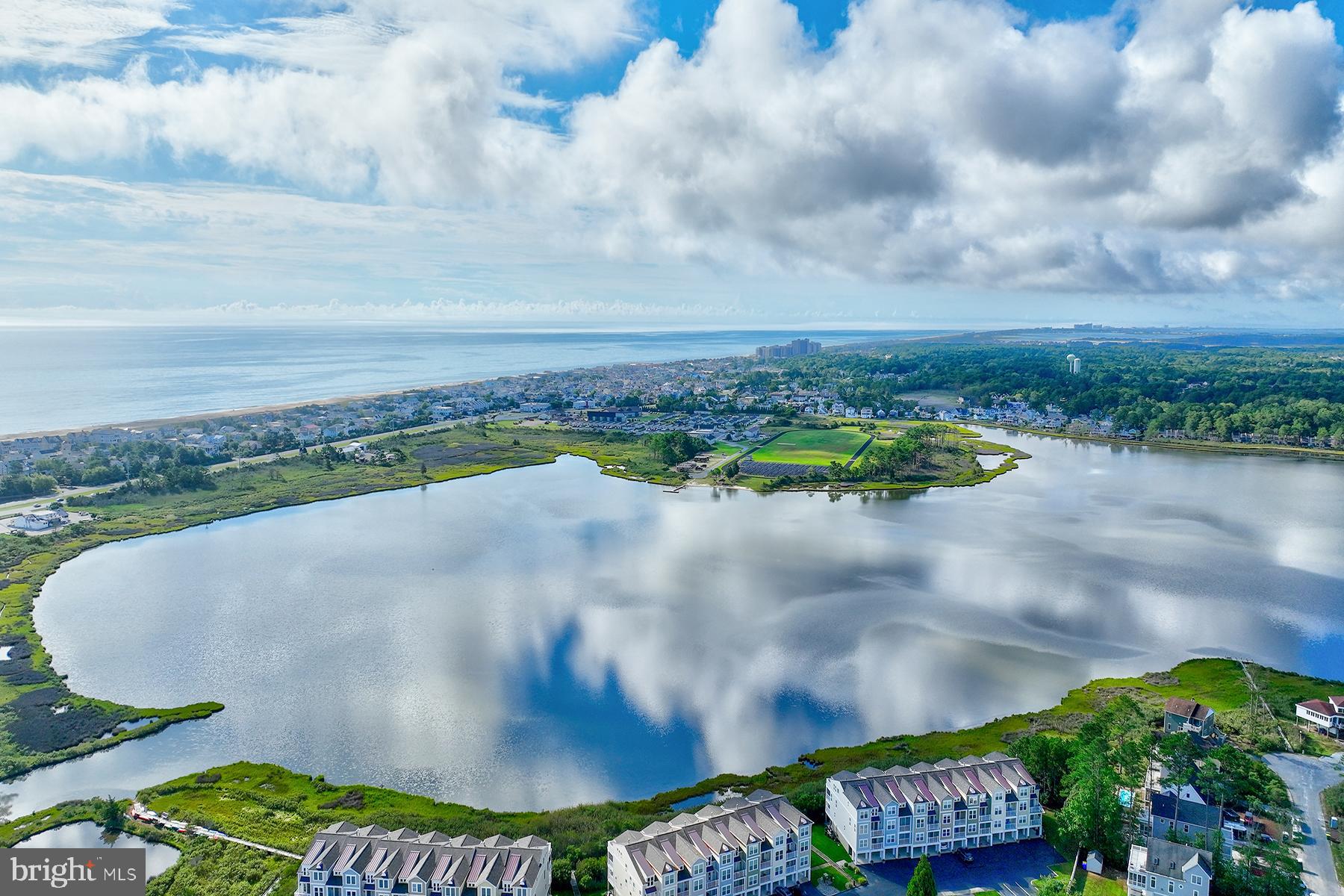 BEAR TRAP - Residential