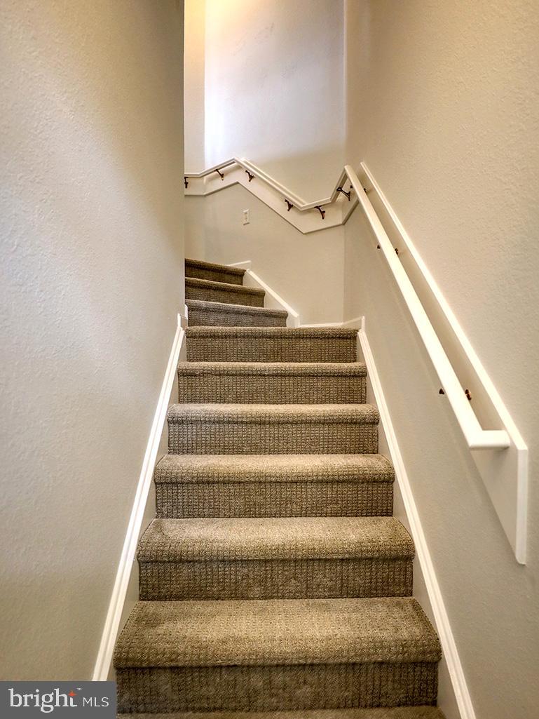 BEAR TRAP - Residential