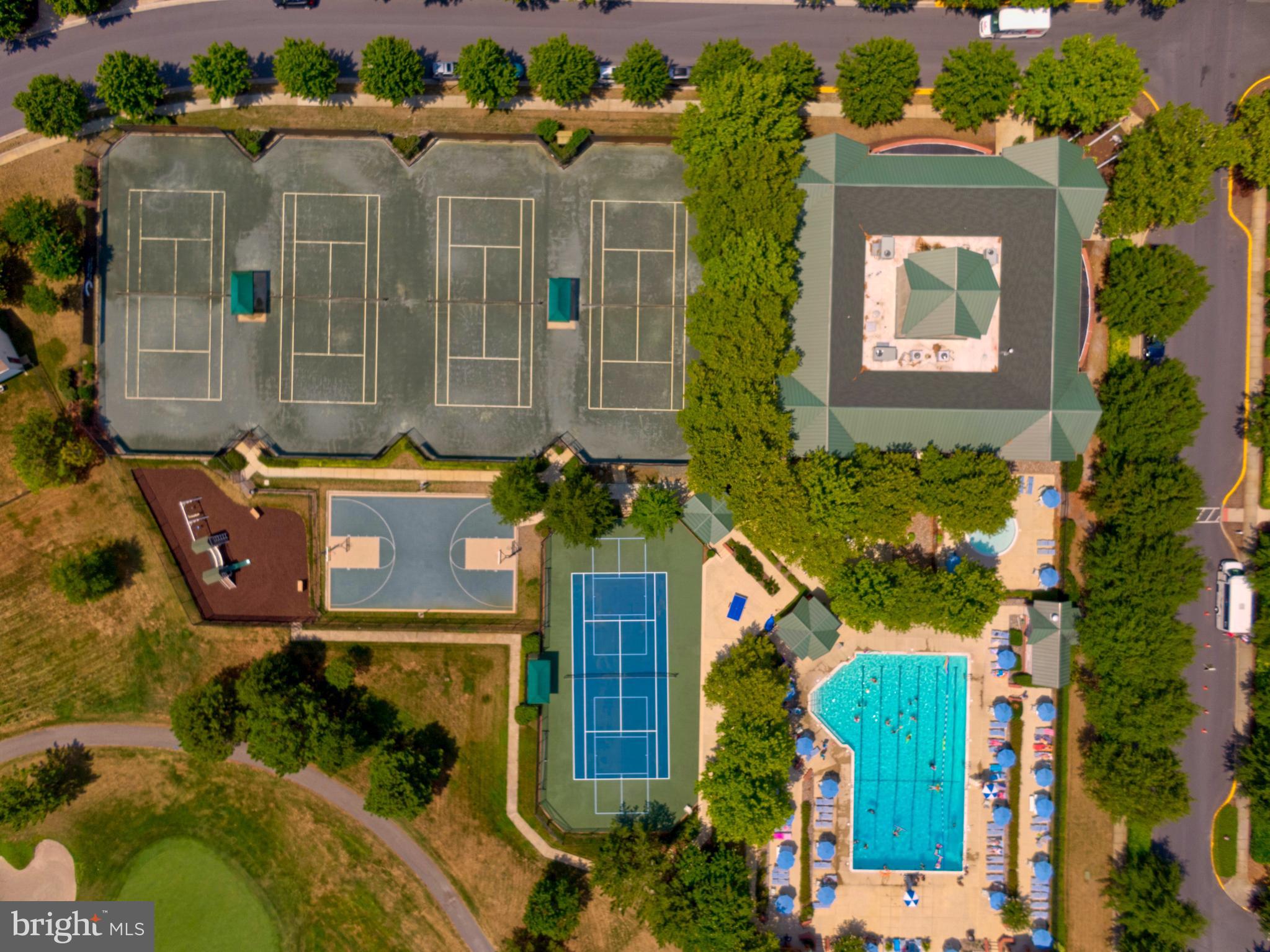 BEAR TRAP - Residential