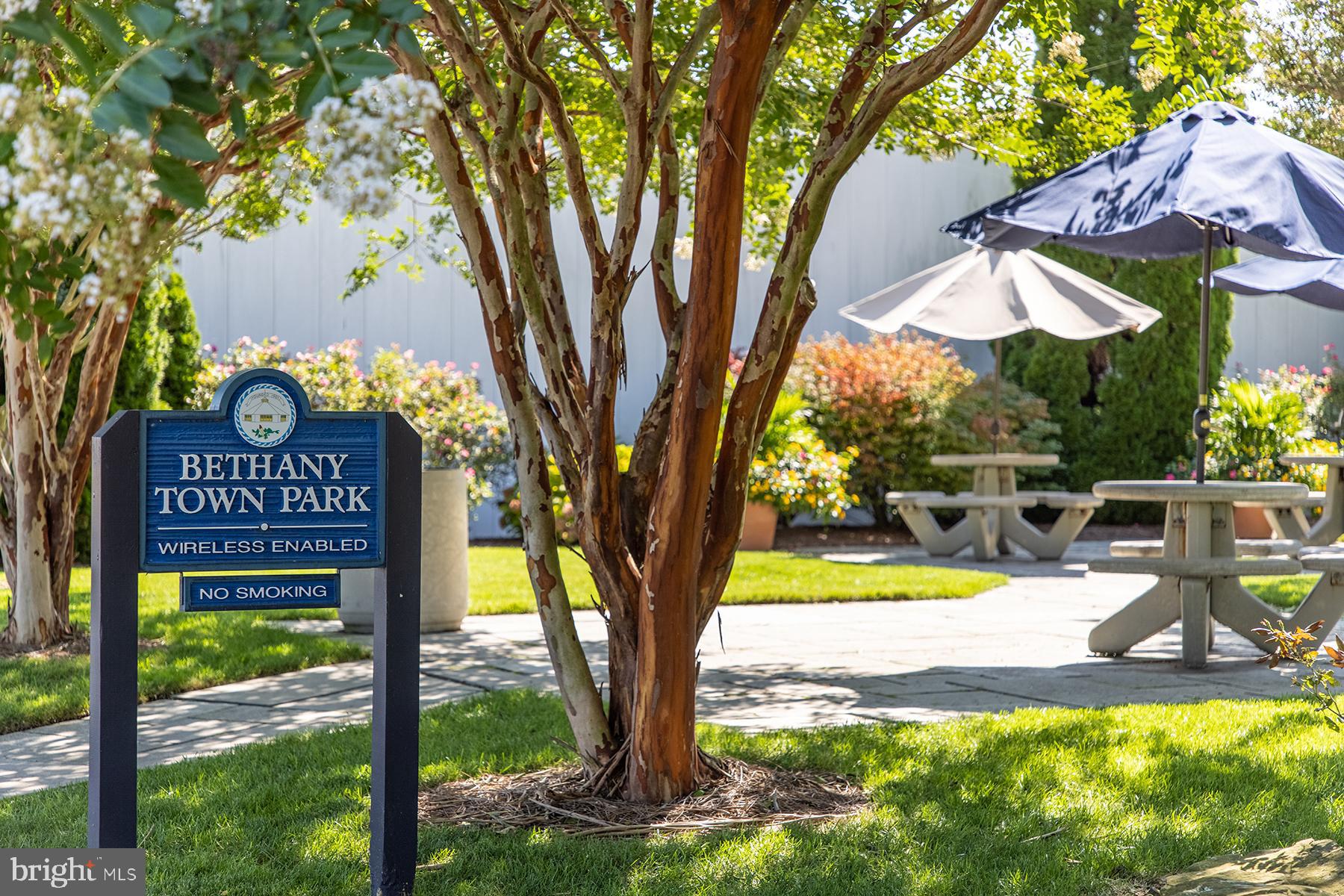 BEAR TRAP - Residential