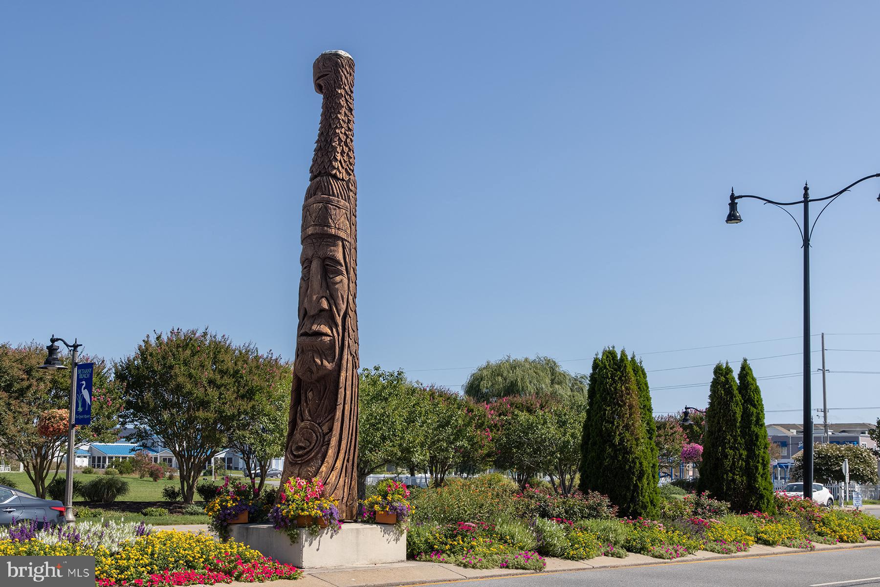 BEAR TRAP - Residential