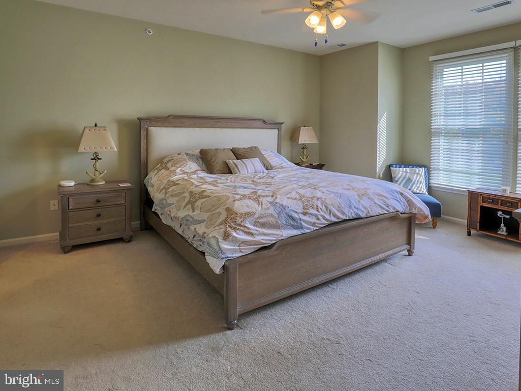 BEAR TRAP - Residential