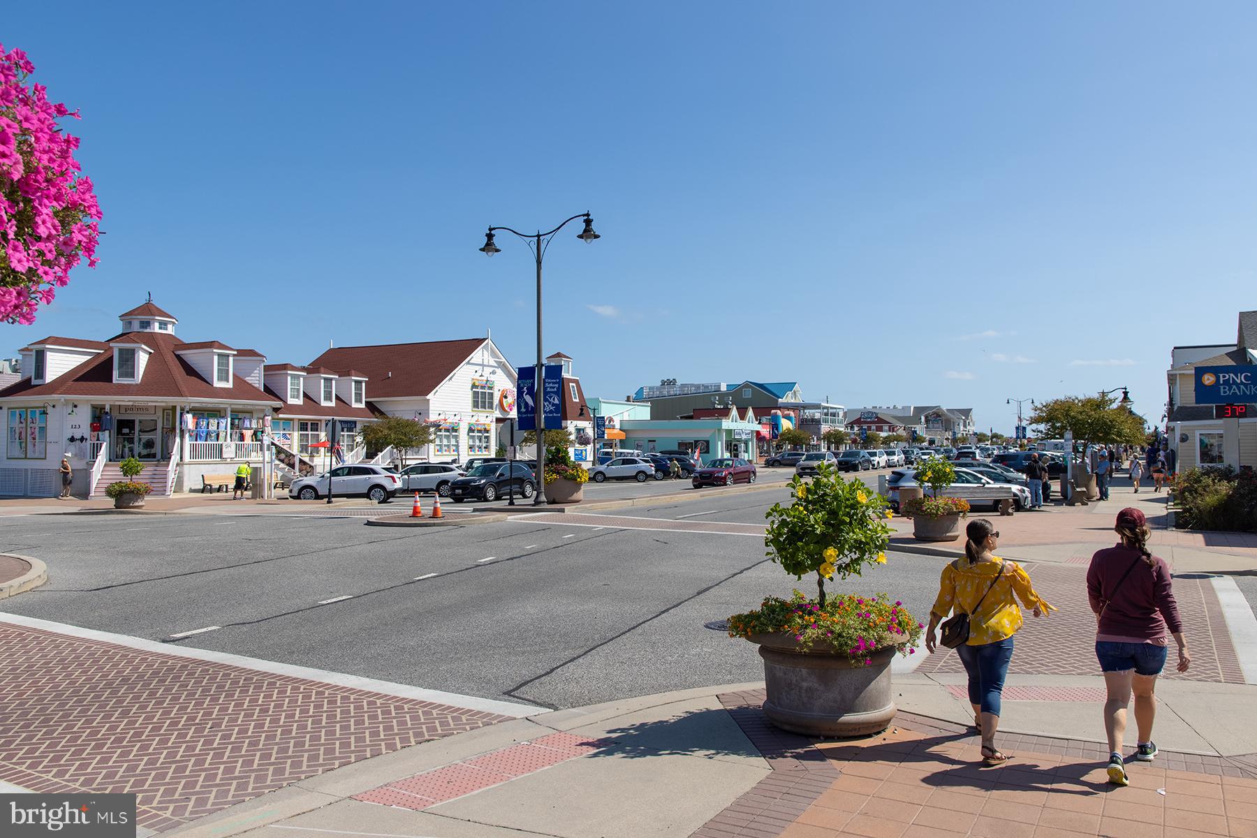 BEAR TRAP - Residential