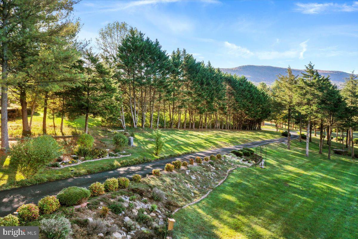 CLIFFSIDE - Residential