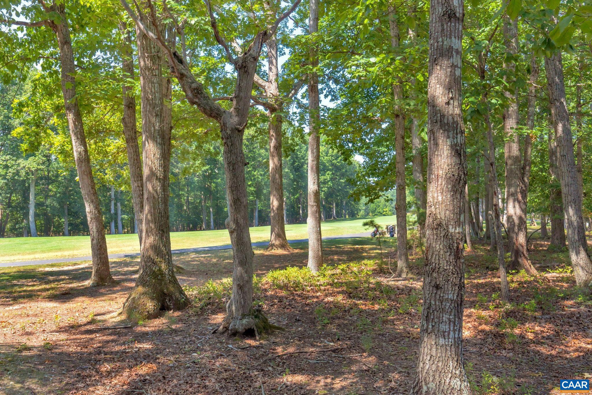 LAKE MONTICELLO - Residential