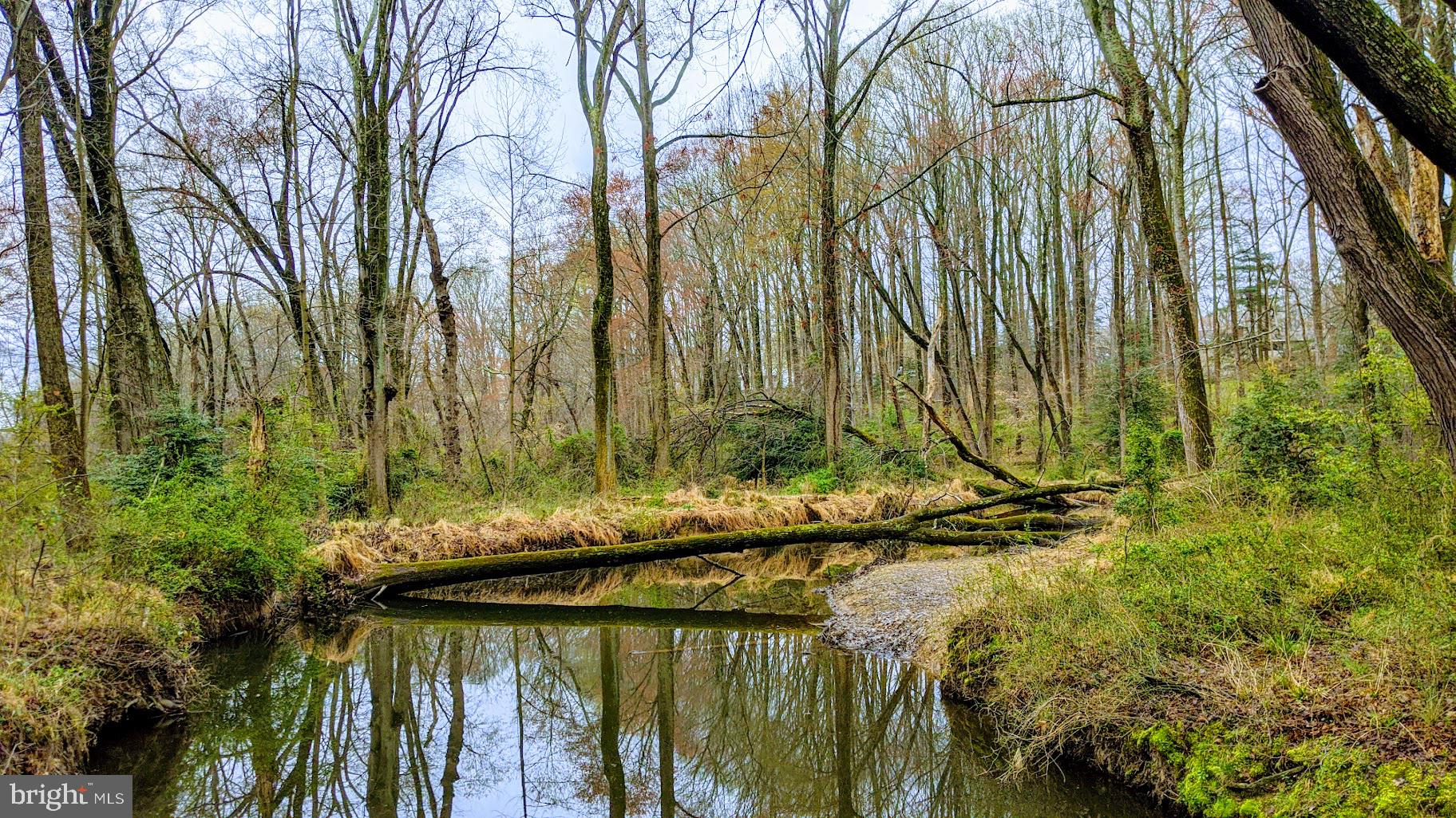 KINGS PARK WEST - Residential
