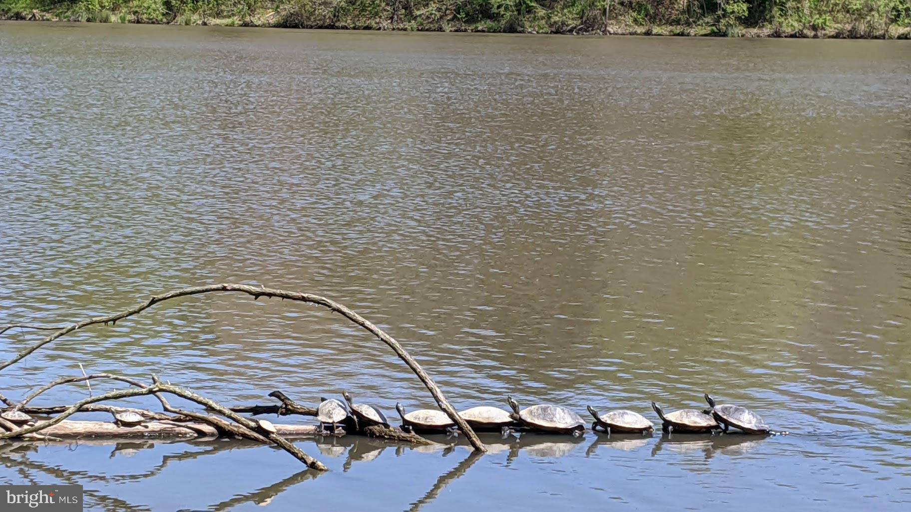 KINGS PARK WEST - Residential